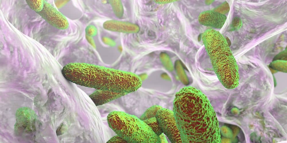 Biofilm dental