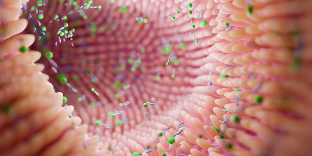 Microbiota oral